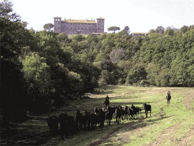Castello di Roccarespanpani