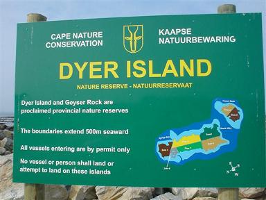 Dyier Island