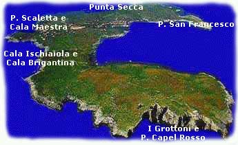 Isola di Giannutri - www.vacanzeinversilia.com