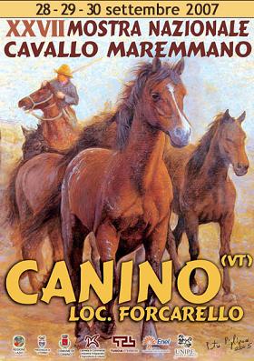 CANINO (VT) - Mostra Nazionale del Cavallo Maremmano